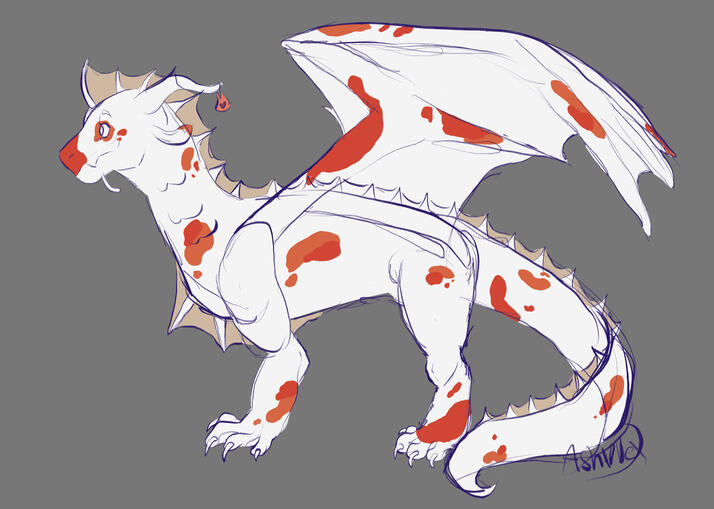 Seawing &#39;Koi pond&#39;